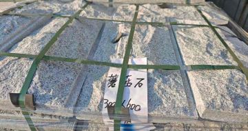 汕尾芝麻白蘑菇石，自然面